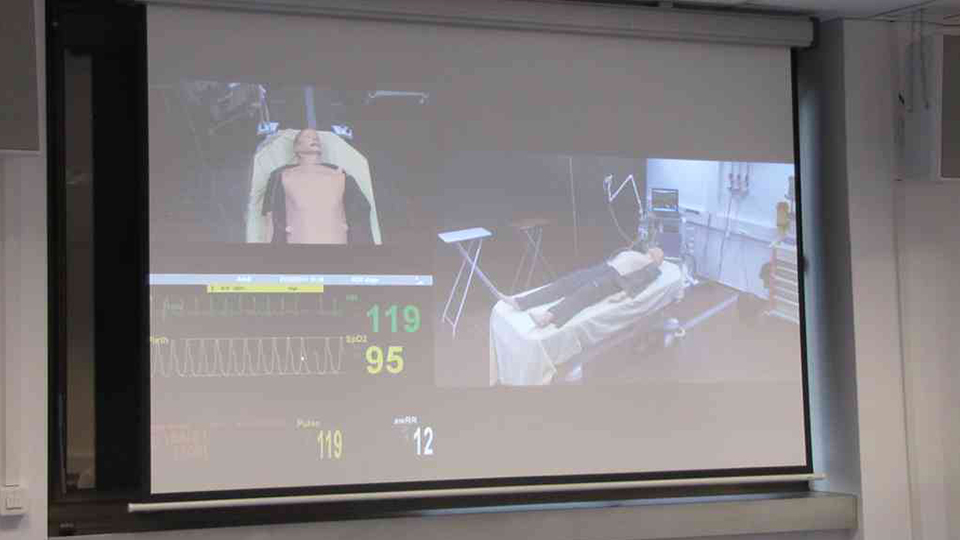 Monitoring mannequin formation IFPM